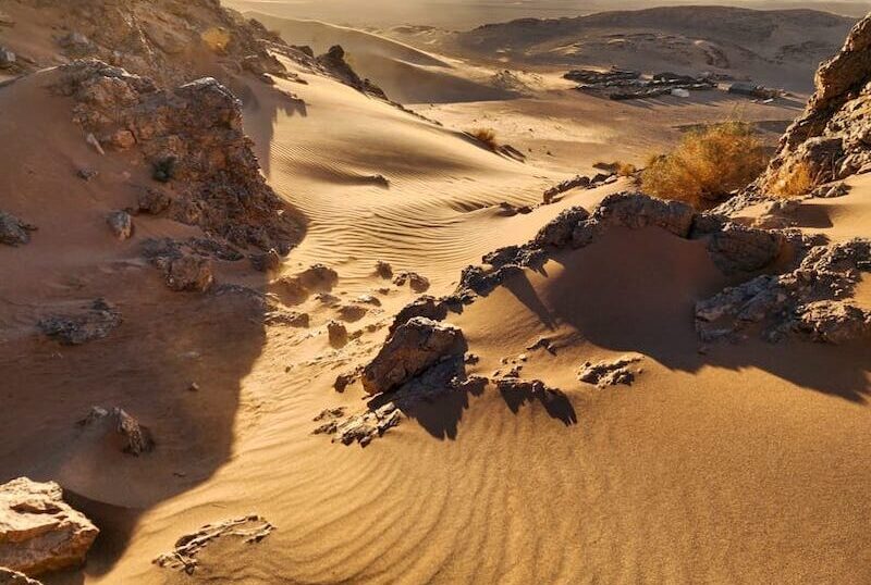 ZAGORA-4-e1727457418242