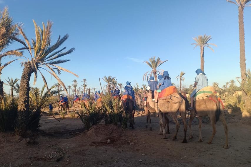 camel-ride-3-e1733734857418