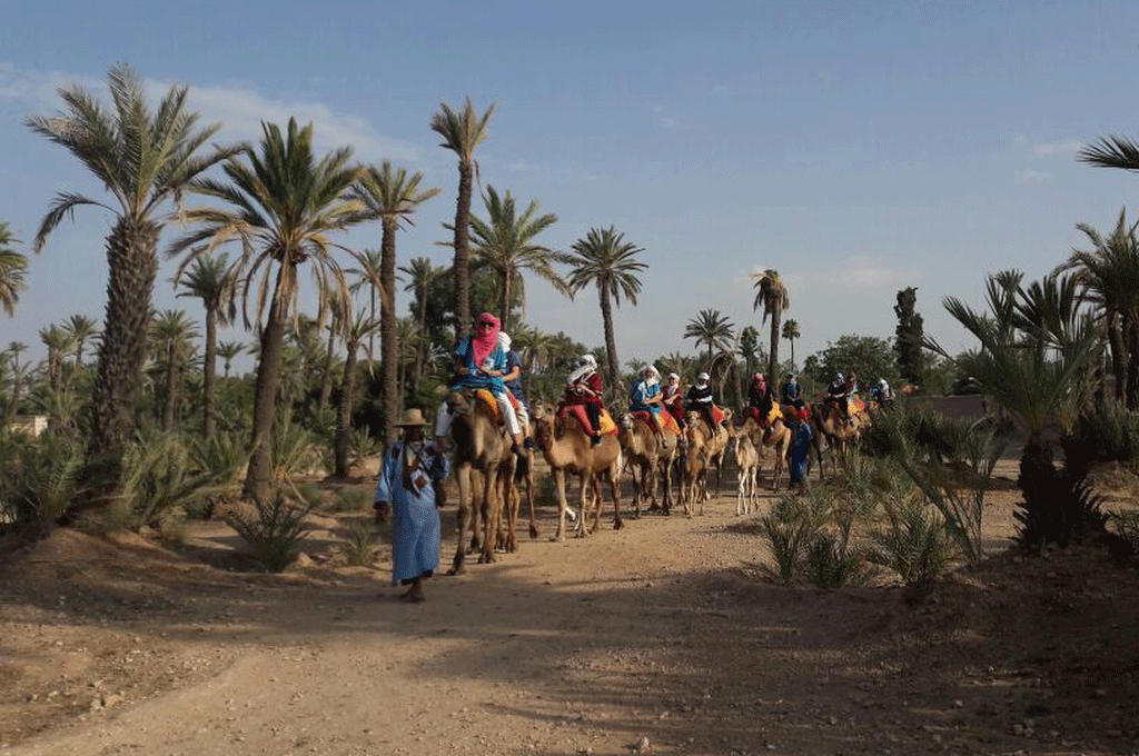 camel-ride-tour-marrakech1