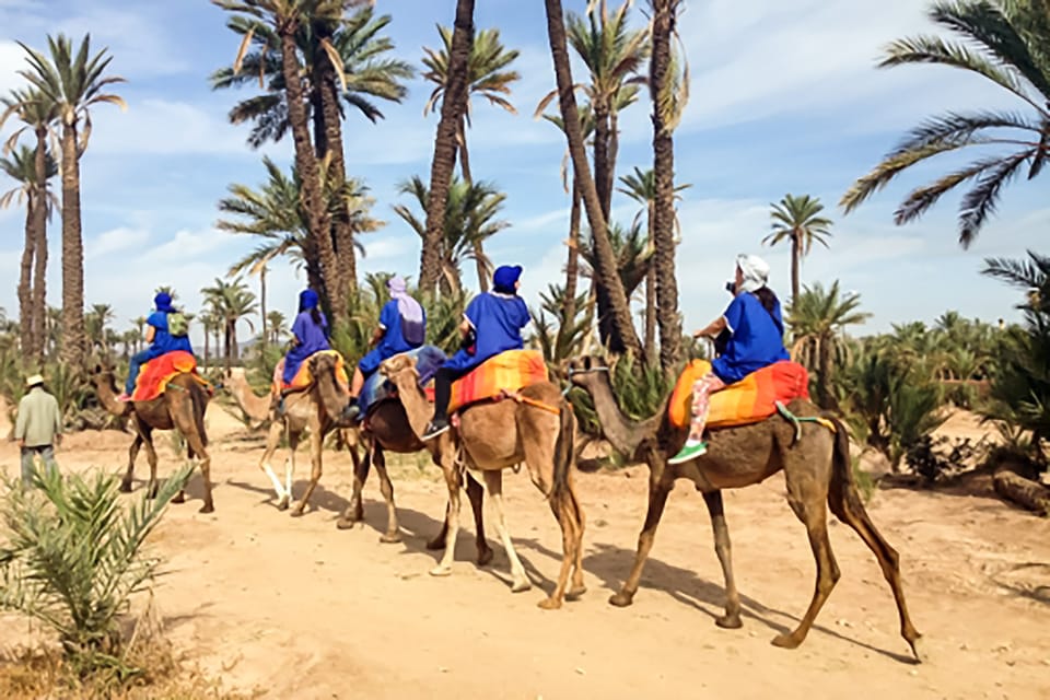 camel-ride