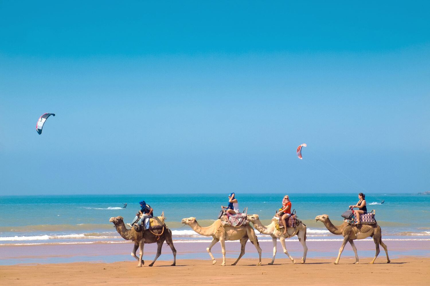 essaouira-camel-19.25.32-e1732868641362