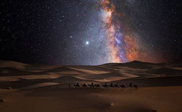 Camel caravan in the desert under the stars